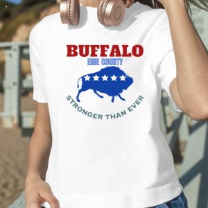 Troubleart Buffalo Usa Blizzard Of The Century T-Shirt