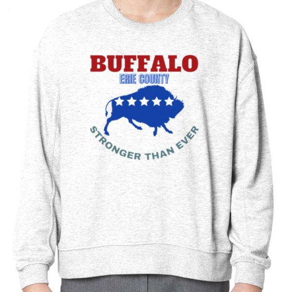 Troubleart Buffalo Usa Blizzard Of The Century T-Shirt