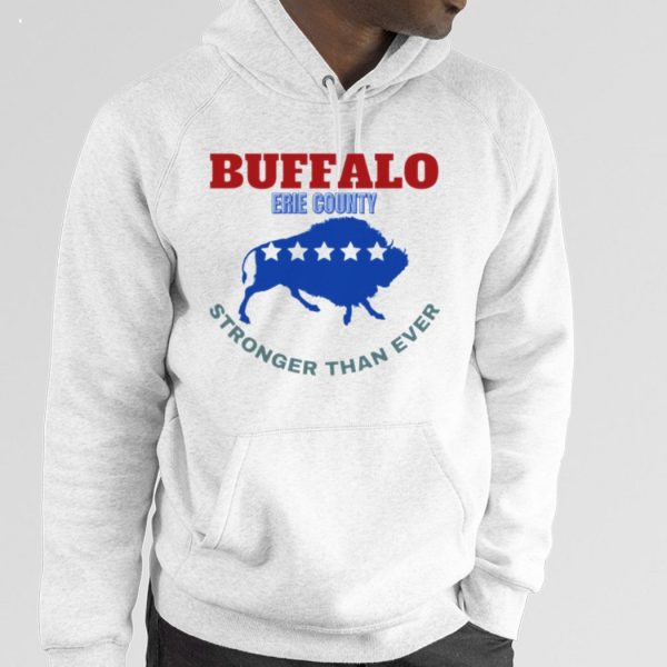 Troubleart Buffalo Usa Blizzard Of The Century T-Shirt