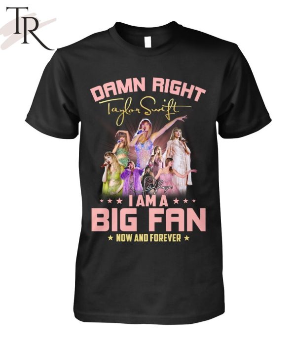 Damn Right I Am A Big Fan Of Taylor Swift Now And Forever T-Shirt