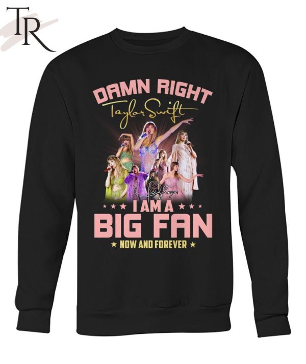 Damn Right I Am A Big Fan Of Taylor Swift Now And Forever T-Shirt