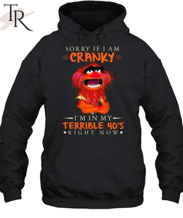 Sorry If I Am Cranky I’M In My Terrible 40’s Right Now T-Shirt