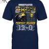 145th Anniversary 1879 – 2024 Michigan Wolverines Go Blue Michigan Stadium, Ann Arbor, Mi T-Shirt