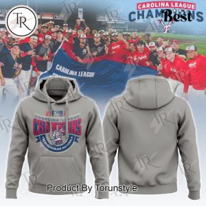 Fredericksburg Nationals 2024 Carolina League Champions Hoodie – Grey