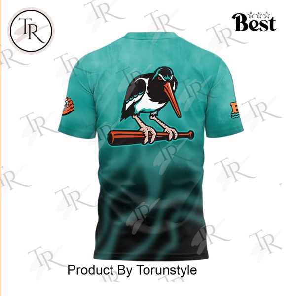 Chesapeake Baysox Get Your OysterCatchers Gear! Special Edition Hoodie