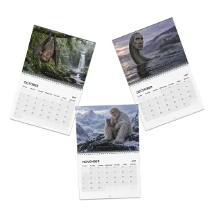 Nicolas Cage Cryptids Funny White Elephant Gag Gift 2027 Wall Calendar